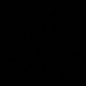 Meet your Posher, Angelo